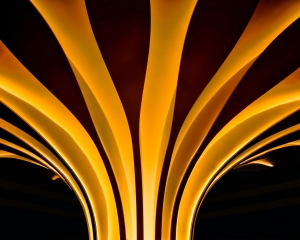 Yellow plumes of light bend upwards, suggesting growth and expansion.
